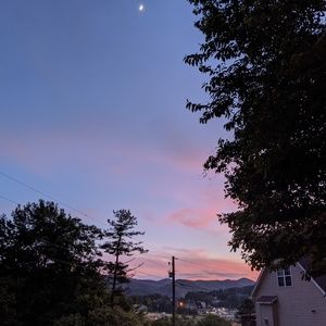 Meet your Posher, Amelie